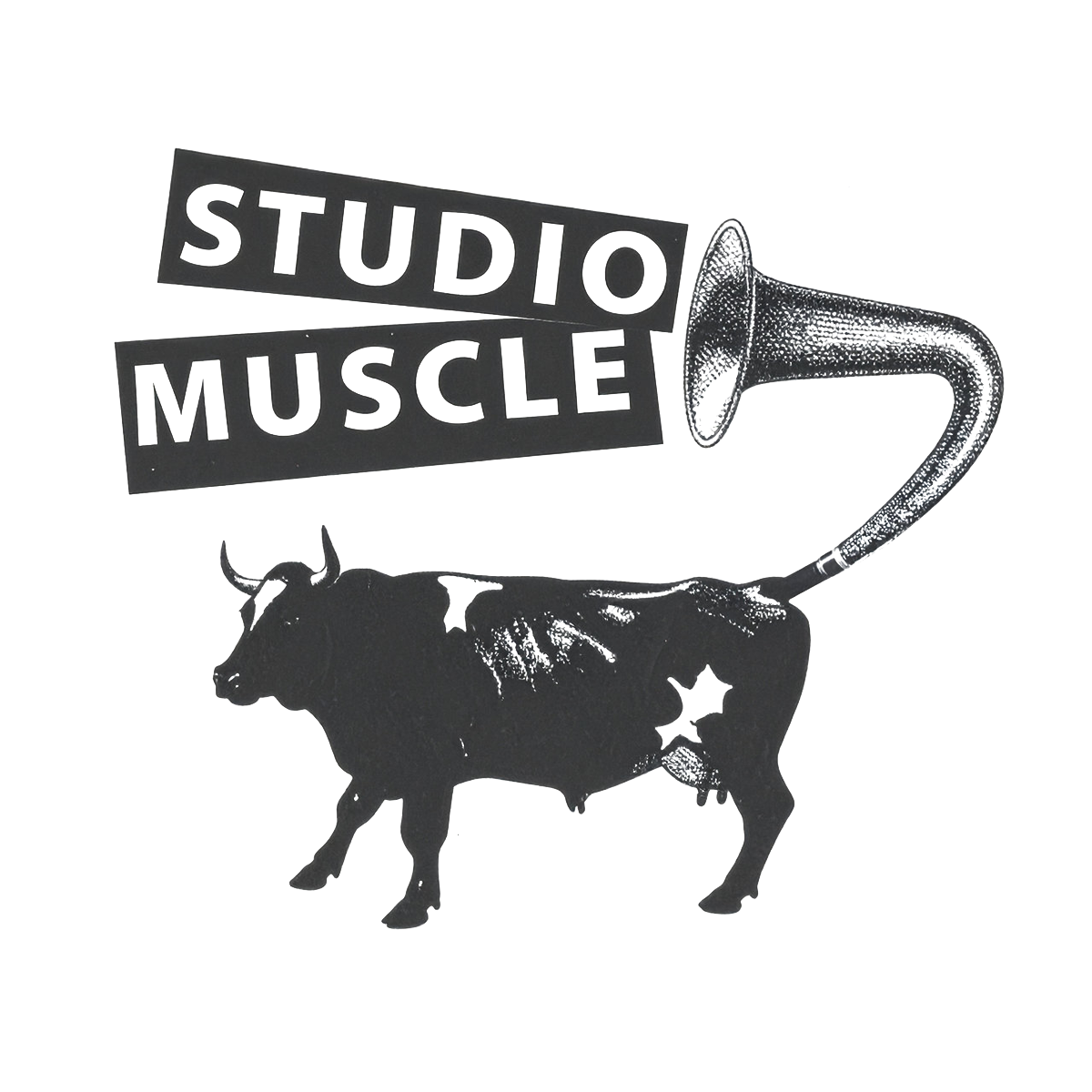 Studio Muscle